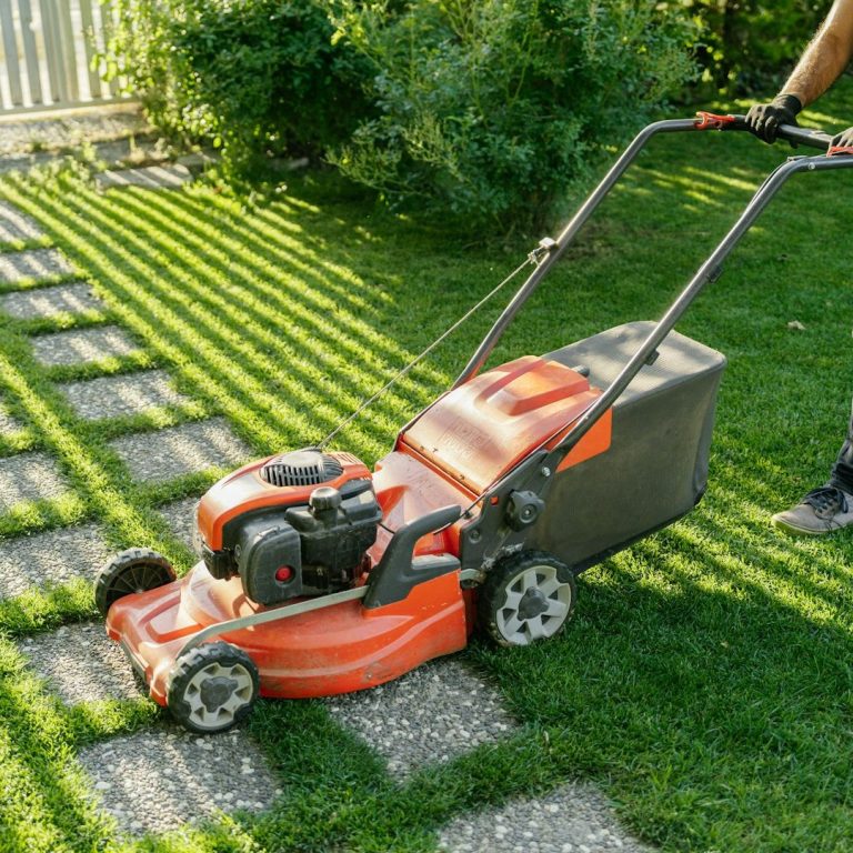 Gartenpflege